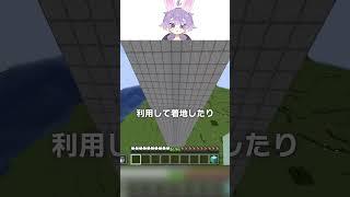 世界一難しい着地してみた【マイクラ豆知識 解説 裏技】