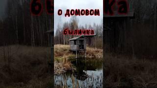 О домовом | брянская быличка | В. Д. Глебов #фольклор #мистика #домовой