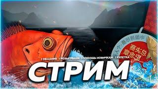 С МЕСТА ⭐ МЕЧ 170 РАЗДАЧА ТРОФЕЕВ + ТРЕСКА Рулетка & Розыгрыши  СТРИМ РР4