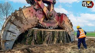 Extreme Dangerous Fastest Big Chainsaw Cutting Tree Machines | Monster Stump Removal Excavator #26