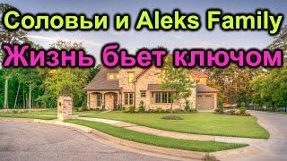 Соловьи и Aleks Family in USA. Жизнь бьет ключом