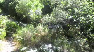 Ruta de senderismo, de Colinas del Campo a campo de Santia_0001.wmv