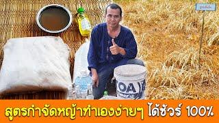 สูตรกำจัดหญ้า ทำเองที่บ้านได้ง่ายๆ ไร้สาร ได้ผล 100%