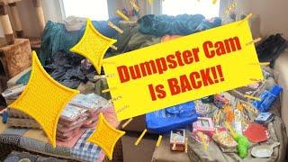 I'm Back!! Dumpster Diving for Food, and Black Friday Haul! 