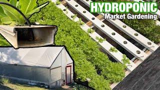 Startup Hydroponic Market Greenhouse |  &  | Bato Bucket & NFT Hydroponic Systems