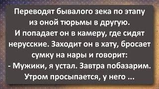 Бывалый Зек и Нерусские! Сборник Легендарных Анекдотов! Юмор!