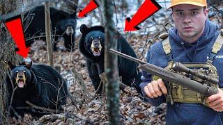 Hunting Black Bear! We Got 3 in a Single Day!