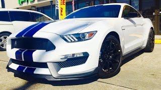 Buying The 2016 Ford Mustang Shelby GT350 Perhaps? AUTOMOHO VLOG #4