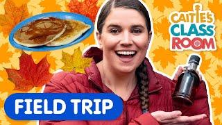 Learn About Making Maple Syrup! | Caitie's Classroom Field Trip | Super Simple Play