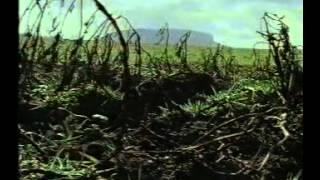 The Great Famine - Part 1 of 2 (BBC 1995)