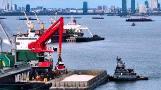 E-Cranes Lightering in New York Harbor: Scrap On, Salt Off