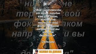 БИЗНЕС НА ДИВАНЕ с rustem_wellness.    Контакты в описании канала.