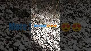 MORE SNOW 