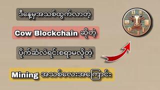 Cow Blockchain ဆိုတဲ့ Mining အသစ်ကနေ ပိုက်ဆံရင်းစရာမလိုပဲ ဘယ်လိုတေပိုက်ဆံရှာကြမလဲ ️