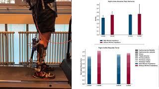 A real-time model-based framework for estimating neuromuscular states during human-exoskeleton