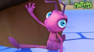 Ice Ice Baby | Antiks | Animals And Creatures Cartoon In Hindi हिन्दी