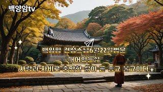 백양암tv6월22일법문 깨어있는삶,우담발화의 진실