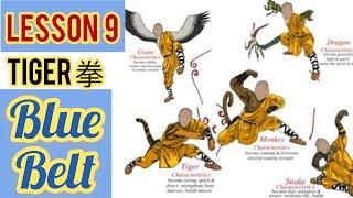 learning kung fu at home / lesson 9 , tiger claw for beginners  /  8moves tiger 虎爪