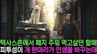 폐지를 주워 먹고살던 할머니… 피투성이 개 하나가 인생을 바꿨습니다ㅣ반전사연ㅣ감동사연ㅣ충격실화ㅣ오디오북