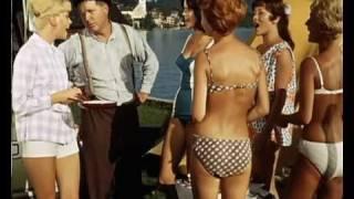 Verschiedene Interpreten - Die ganze Welt ist himmelblau 1961