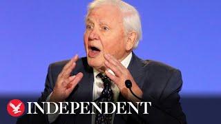 Cop26: David Attenborough urges world leaders to turn ‘tragedy into triumph’