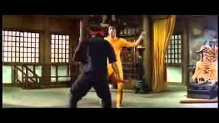 Nicone & Sascha Braemer & Narra - Caje (Bruce Lee Video)