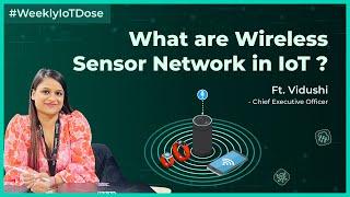 What are Wireless Sensor Networks in IoT?