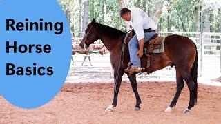 What to expect if you buy a reining horse