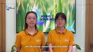 The Stored Grain Insects Control - King Quenson Classroom