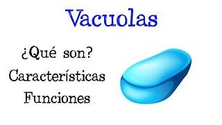  ¿Qué son las Vacuolas?  Funciones [Fácil y Rápido] | BIOLOGÍA |