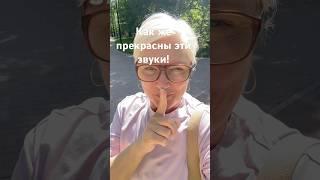 Мое удовольствие #жизнь #лето #радость #осознание #прогулка #наблюдениезаптицами #умиротворение