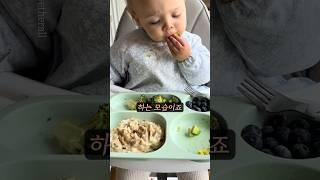 아보카도가 너무 맛있었던 아기
