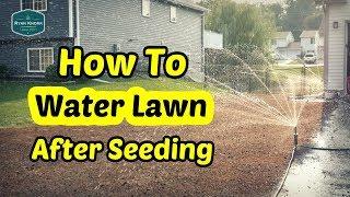 How To Water Your Lawn After Seeding