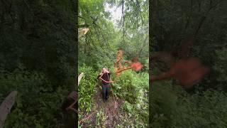 How indi did it . #knots #rope #swing #skills #tree #movie