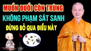 Làm Theo Cách Này ĐUỔI HẾT CÔN TRÙNG Mà Không Phạm Sát Sanh - HT. Thích Trí Quảng