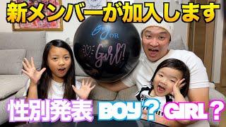 【重大報告】新メンバー加入？！男の子？女の子？ジェンダーリビール！️