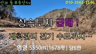 NO.162   상속토지 급매. 계획관리에 전기 수도까지...  국유지130평은 덤. 영양5550㎡(1678평) 당6만