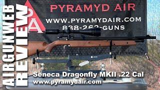 AIRGUN REVIEW - Seneca Dragonfly MKII - .22 Cal, Multi-Shot, Pump Pneumatic, Bolt Action, Review