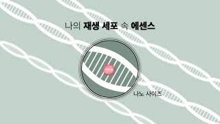 클리니크후즈후 시그니처 마이좀