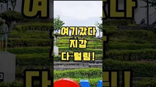  강릉 중앙시장, 뭘 먹어야 할까?  Gangneung Central Market: What Should You Eat?