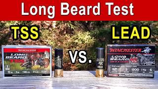 Winchester Long Beard TSS vs. Lead | TESTED