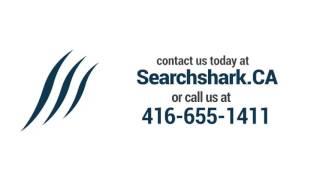 Software Development Company Hamilton (416)655-1411