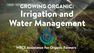 Irrigation and Water Management