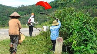 People Ignore Us Cleaning Up To Save Sidewalks Overgrown Bridges Completely Free | Clean Up Free