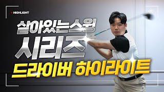 드라이버 힘안주고 멀리치고 싶다면 무조건 보세요! /드라이버 하이라이트