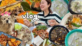 [먹방vlog] 소주들고 안주 일발장전 feat. 연말모임을 곁들인..(곱창전골,도가니수육,황태해장국,떡만둣국,매운짜장,실비김치,누들핏잡채밥,우대갈비,파스타,방이먹자골목)