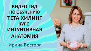  Курс ИНТУИТИВНАЯ АНАТОМИЯ Тета хилинг // Обучение тета хилинг видео гид