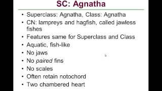 BIO 100 6 1 2 Vertebrates Agnatha MP4