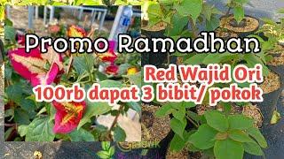 Promo Ramadhan 082243238499