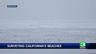 Why this group of volunteers has been studying the CA shoreline for the last 30 years